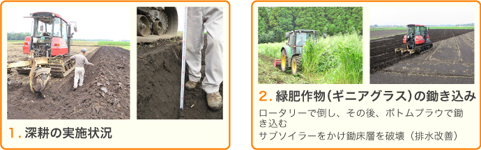 まゆみ農園の土壌改良の方法